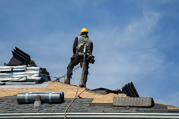 Professional Roof Replacement technician working in Whitmore Lake, MI
